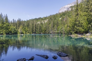 20230626-14 7485-Plaine Joux au Lac Vert