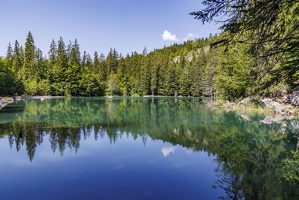 20230626-15 7490-Plaine Joux au Lac Vert