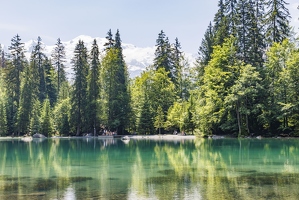 20230626-17 7492-Plaine Joux au Lac Vert