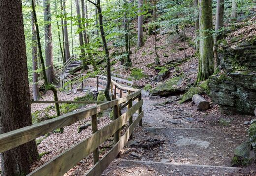 20230627-7564-Gorges de la Diosaz Servoz