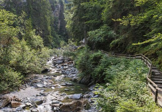 20230627-7567-Gorges de la Diosaz Servoz