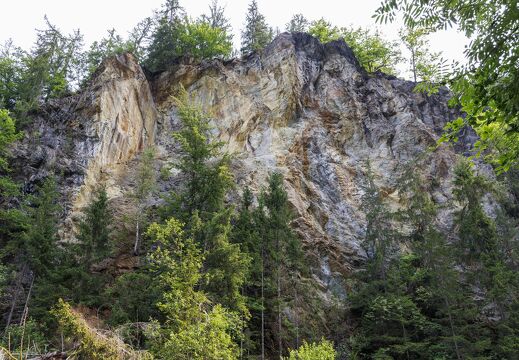 20230627-7572-Gorges de la Diosaz Servoz Falaise de schiste