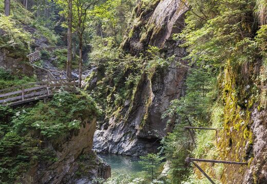 20230627-7583-Gorges de la Diosaz Servoz