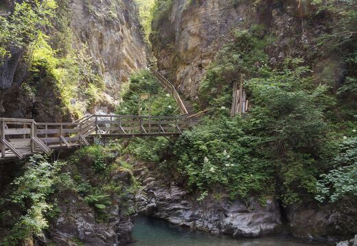 20230627-7602-Gorges de la Diosaz Servoz