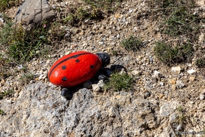 20230927-9057-Ceillac les cairns insolites coccinelle