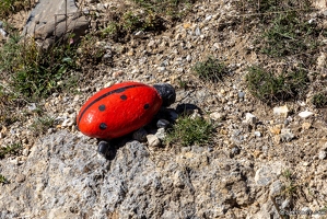 20230927-9057-Ceillac les cairns insolites coccinelle