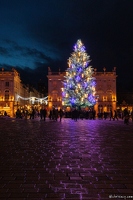 20231231-16 9452-Nancy Place Stanislas nuit