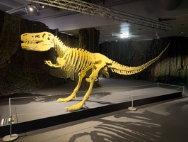 20240325-3018-Paris expo lego dinosaur skeleton tyrex