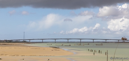 20240428-80 1914-La Tremblade la greve sur la Seudre les deux viaducs