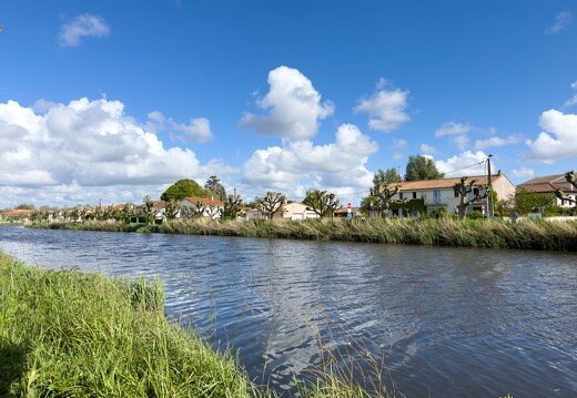 20240428-89 3883-Saujon