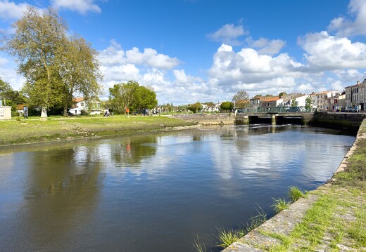 20240428-93 3888-Saujon