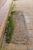 20240429-1941-Abbaye de Sablonceaux
