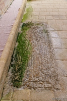 20240429-1941-Abbaye de Sablonceaux