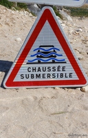 20240429-1988-Passe des boeufs