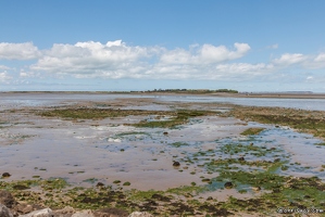 20240429-2002-Ile madame