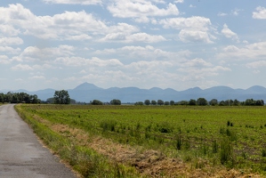 20240605-2168-Entre Effiat et Ennezat le puy de dome