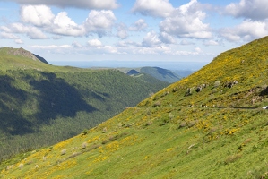 20240612-027 2975-au pas de peyrol