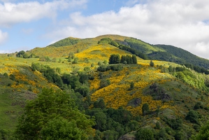 20240610-17 2759-Monts du Cantal et Puy Griou
