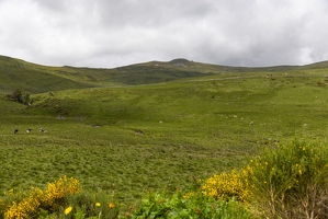 20240615-33 3333-Le Plomb du Cantal vu de Prat de Bouc