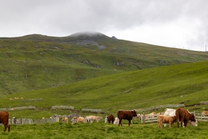 20240615-38 3345-Le Plomb du Cantal vu de Prat de Bouc