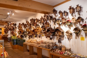 20240807-20 3539-Titisee