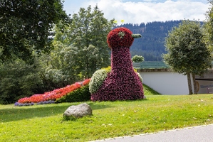 20240807-35 3563-Schluchsee
