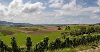 20240807-47 3580-Siblingen Pano
