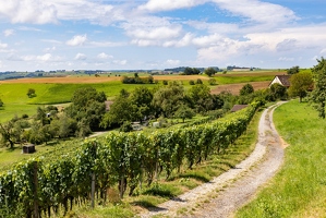 20240807-48 3581-Siblingen