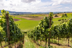 20240807-49 3582-Siblingen
