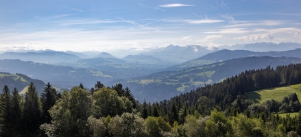 20240809-02 3869-Bregenz Pfaender vue bodensee Pano