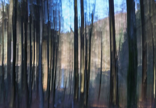 20241102-08 4161-Blanchemer