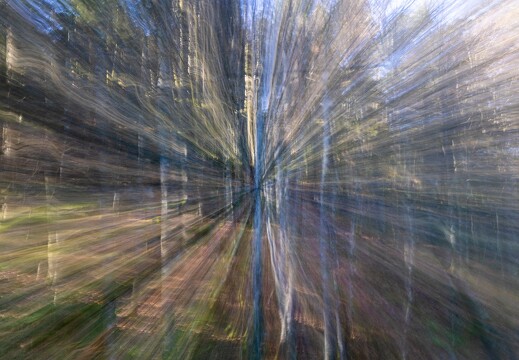 20241102-10 4183-Blanchemer