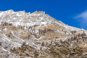 20250108-4798-Maljasset
