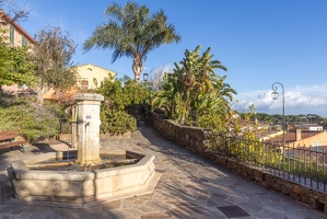 20250111-27 4976-Bormes les Mimosas