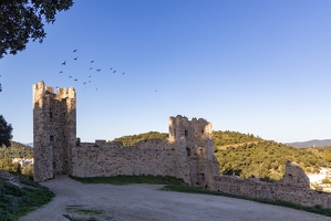 20250112-47 5154-Hyeres le chateau