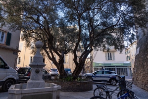20250114-074 5410-Saint Tropez