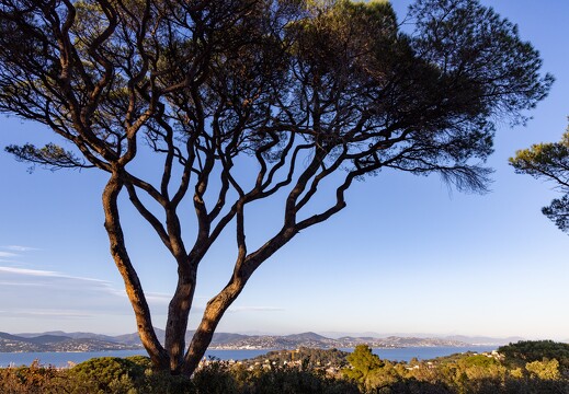 20250114-113 5484-Saint Tropez a la Chapelle Sainte Anne