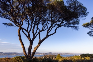 20250114-113 5484-Saint Tropez a la Chapelle Sainte Anne