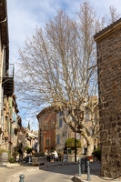 20250115-18 5533-Cogolin