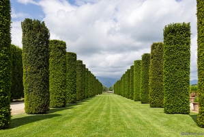 20250516-16 9676-Palais de Venaria