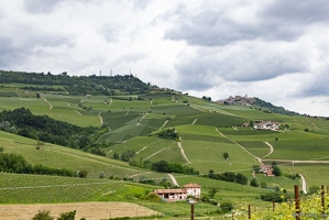 20250519-09 0055-Barolo les vignes