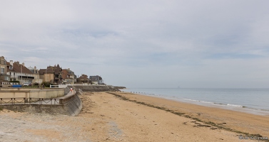 20250412-34 8604-Lion sur Mer