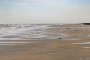20250404-7537-Ver sur Mer Gold Beach