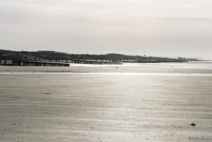 20250404-7539-Ver sur Mer Gold Beach