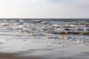 20250404-7541-Ver sur Mer Gold Beach