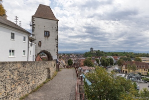 20250921-19 1549-Breisach am Rhein