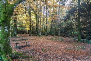 20251011-02 6511-Blanchemer