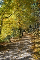 20251011-03 6512-Blanchemer