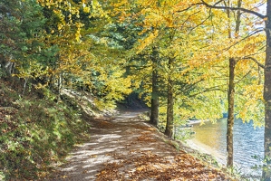 20251011-05 6516-Blanchemer