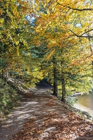 20251011-06 6517-Blanchemer